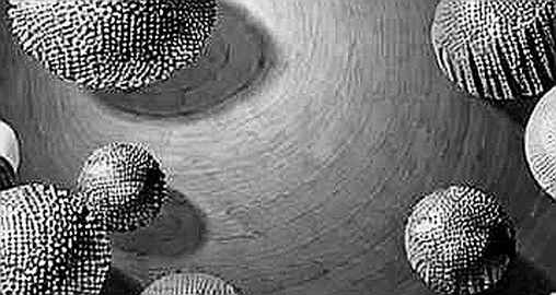 The Clarity Act’s Four-Year Timer: Why the Ban on Political Tokens Is a Short-Term Fix with Long-Term Risks